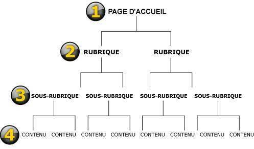 Projet de site Intenet : quels contenus et comment le faire vivre ?